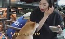 娱乐八卦视频哪里看,这些视频平台让你一网打尽最新热点